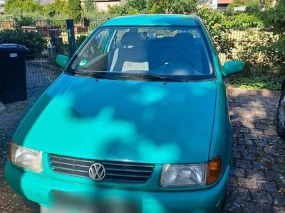VW Polo