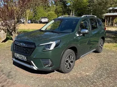 Second-hand Subaru Forester Active 150 CP (110 kW) 2023 Verde SUV