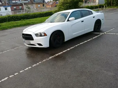 Gebraucht Dodge Charger 296 PS (217 kW) 2013 Weiß Limousine