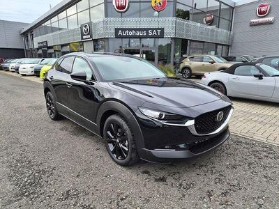 Braun Neu 2025 Mazda CX-30 Homura-Line SUV | 28.980 €