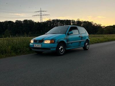 VW Polo