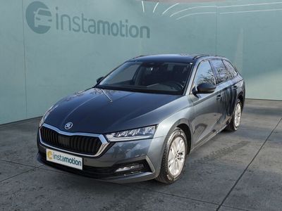 Gebraucht Skoda Octavia Ambition 116 PS (85 kW) 2022 Grau Kombi
