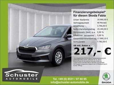 Gebraucht Skoda Fabia Ambition 110 PS (80 kW) 2023 Grau Kleinwagen