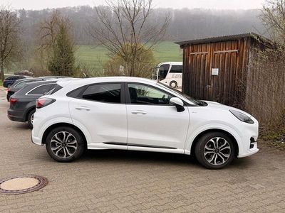Usata Ford Puma ST-Line 125 CV (91 kW) 2020 Bianco SUV