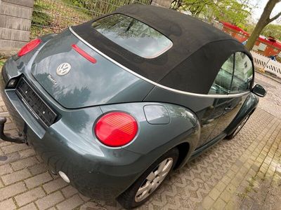 gebraucht VW Beetle Cabrio Sommerprojekt