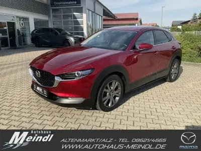 Gebraucht Mazda CX-30 Selection 186 PS (136 kW) 2022 Soul red crystal SUV