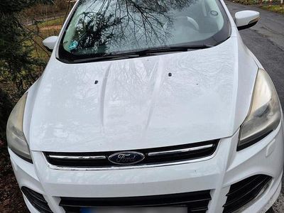 Gebraucht Ford Kuga Individual 150 PS (110 kW) 2014 Weiß SUV