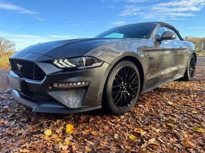 gebraucht Ford Mustang GT 5.0 Ti-VCT V8 GT Auto Cabrio