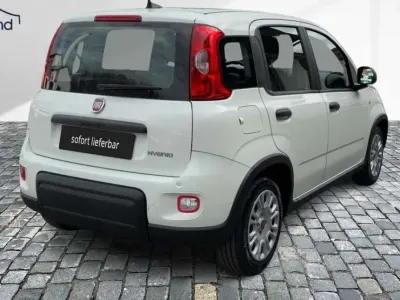 Gebraucht Fiat Panda 71 PS (52 kW) 2024 Weiß Kleinwagen