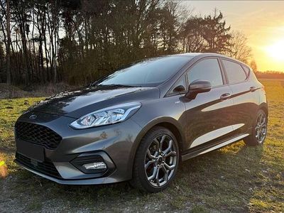 Gebraucht Ford Fiesta ST-Line 101 PS (74 kW) 2019 Grau Kleinwagen