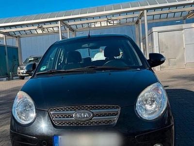 Usata Kia Picanto 65 CV (47 kW) 2008 Nero Utilitaria