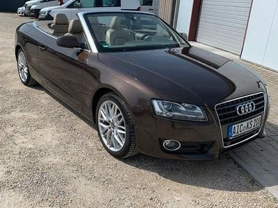 Gebraucht Audi A5 Cabriolet 211 PS (155 kW) 2009 Braun Cabrio