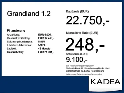 Gebraucht Opel Grandland X 131 PS (96 kW) 2023 Weiss (metallic) SUV
