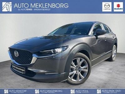 Gebraucht Mazda CX-30 Selection 122 PS (89 kW) 2022 Machine grey SUV