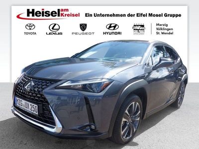 gebraucht Lexus UX 250h Executive Line/Premium/Head-Up/Schiebedach