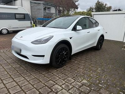 Gebraucht Tesla Model Y RWD 219 kW (299 PS) 2023 Weiß SUV