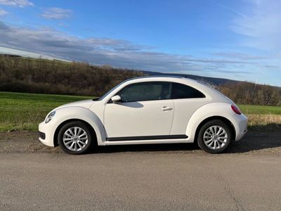 gebraucht VW Beetle 1.2 TSI DSG - Panormadach Sitzheizung