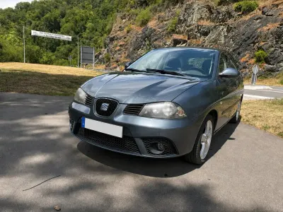 Gebraucht Seat Ibiza Sport 86 PS (63 kW) 2008 Grau Kleinwagen