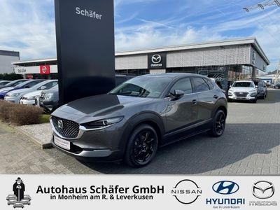 gebraucht Mazda CX-30 Selection 360 Kamera SHZ Temp Bose Klimaautom Lenk