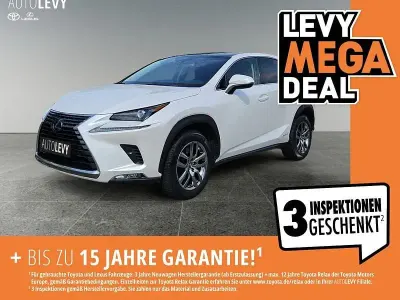 Gebraucht Lexus NX300h Executive Line 197 PS (144 kW) 2019 Weiß SUV