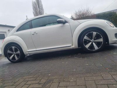 VW Beetle