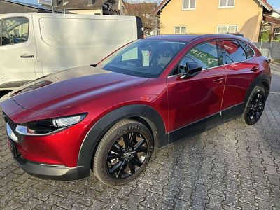 Gebraucht Mazda CX-30 Homura-Line 150 PS (110 kW) 2023 Rot SUV