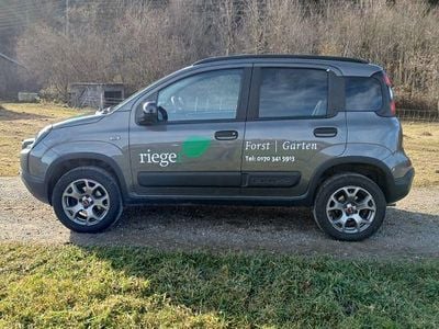 Second-hand Fiat Panda Cross Cross 86 CP (63 kW) 2023 Gri Hatchback