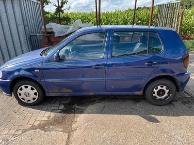VW Polo