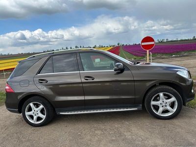 Mercedes ML250