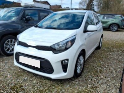 Gebraucht Kia Picanto DREAM-TEAM Edition 67 PS (49 kW) 2022 Weiß Kleinwagen