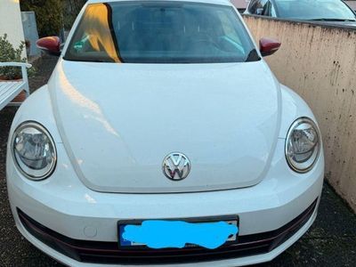 VW Beetle