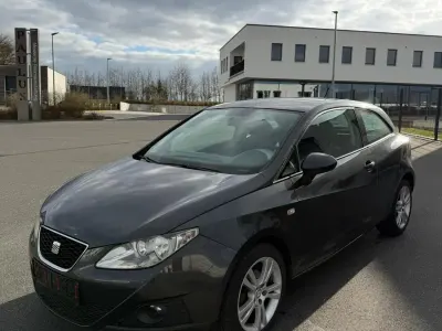 Usata Seat Ibiza 86 CV (63 kW) 2009 Grigio Utilitaria