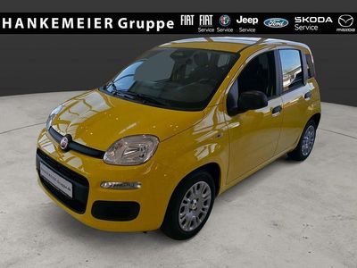 Neu Fiat Panda Icon 65 PS (47 kW) 2026 Gelb Kleinwagen