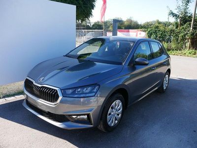 Nuova Skoda Fabia Selection 2026 Grigio Utilitaria