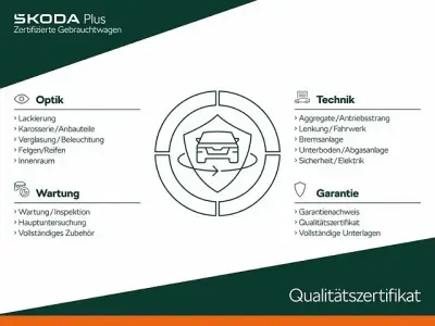 Gebraucht Skoda Kodiaq Business Line 200 PS (147 kW) 2024 Grau SUV