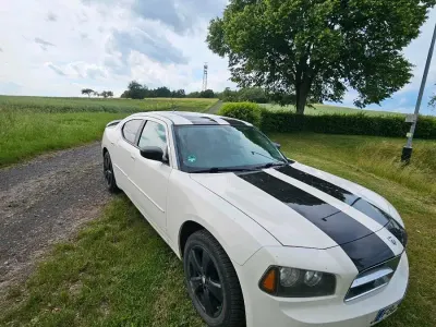 Gebraucht Dodge Charger 253 PS (186 kW) 2008 Weiß Limousine