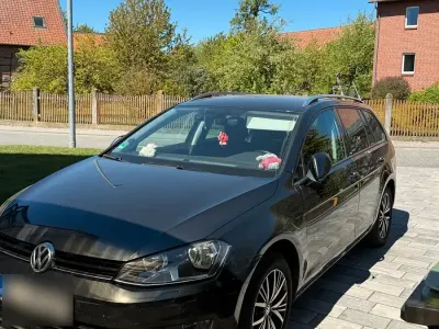 Gebraucht VW Golf VII Allstar 2016 Grau Kombi