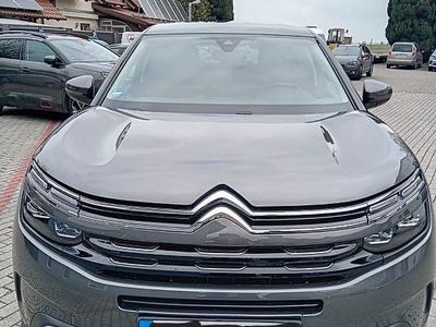 Gebraucht Citroën C5 Aircross Feel 131 PS (96 kW) 2020 Grau SUV