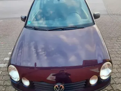 Usata VW Polo 75 CV (55 kW) 2002 Utilitaria