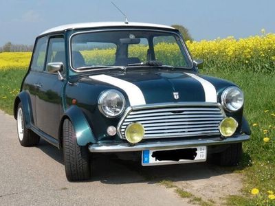 gebraucht Mini 1000 