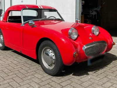 Brugt Austin Healey Frogeye 44 HK (32 kW) 1961 Cabriolet