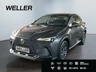 Gebraucht Lexus NX450h+ Business Edition 292 PS (214 kW) 2025 Grau SUV