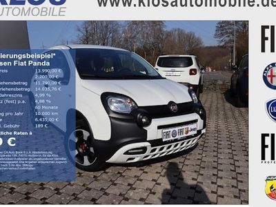 Gebraucht Fiat Panda Cross Cross 70 PS (51 kW) 2023 Weiß Kleinwagen