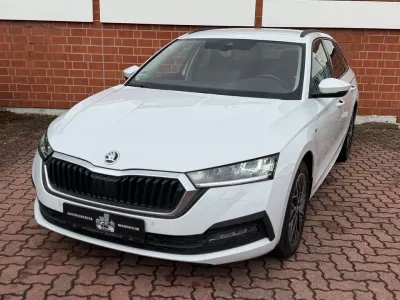 Gebraucht Skoda Octavia Clever 150 PS (110 kW) 2022 Weiß Kombi