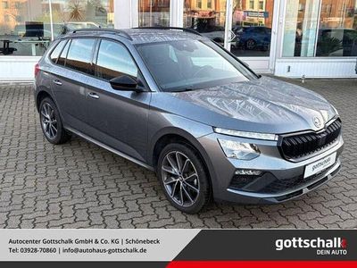 Grau Gebraucht 2025 Skoda Kamiq SUV | 26.990 € (Guter Preis)