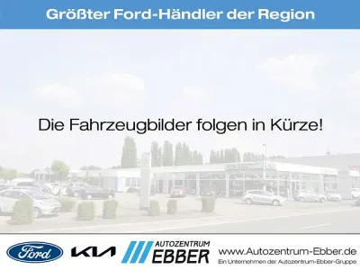 Neu Ford Transit Trend 131 PS (96 kW) 2025 Van
