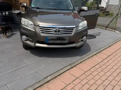 Gebraucht Toyota RAV4 2012 Braun SUV