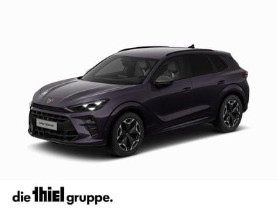 Usata Cupra Terramar 150 CV (110 kW) 2025 Viola SUV
