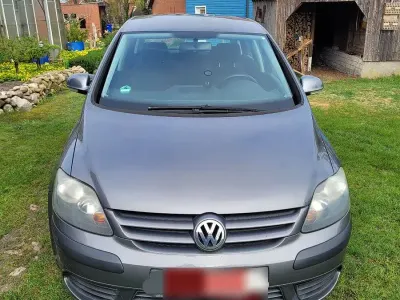 Usata VW Golf Plus Cross Comfortline 75 CV (55 kW) 2005 Grigio Monovolume