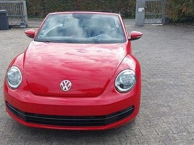 VW Beetle